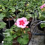 مزرعة للإقامة 