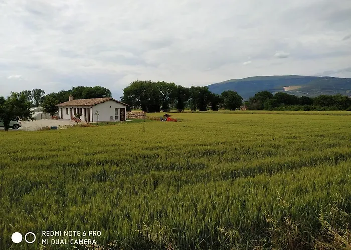 Alojamento de Turismo Rural 