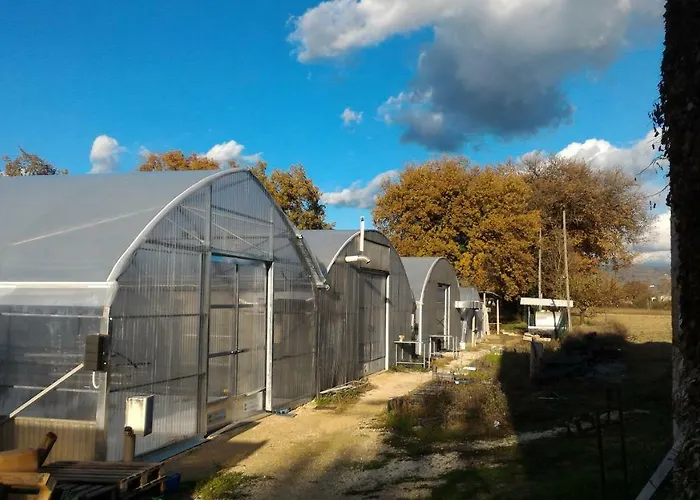 Alojamento de Turismo Rural 