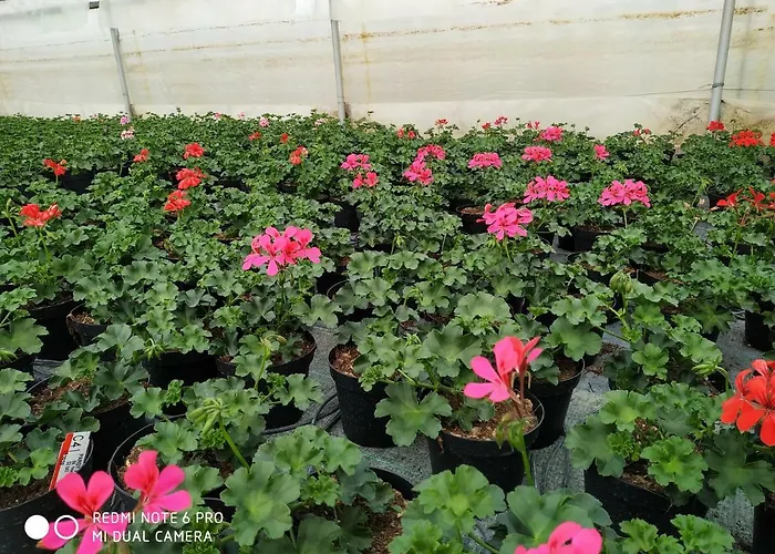 Alloggio per agriturismo Le Serre *