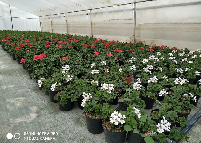 Le Serre Alloggio per agriturismo *